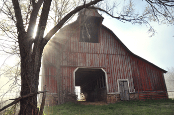 Old Barn On Foggy Morning