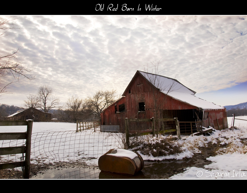 An Old Red Barn In Winter by Sharon Irla