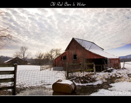Old Red Barn In Winter by Sharon Irla
