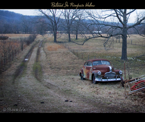 Retired In Pumpkin Hollow by Sharon Irla