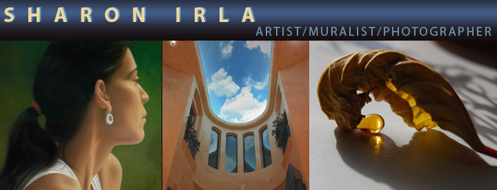 Sharon Irla, Native American Artist, Muralist, Photographer