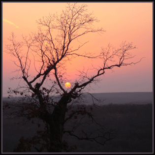 Sunset At Snake Creek